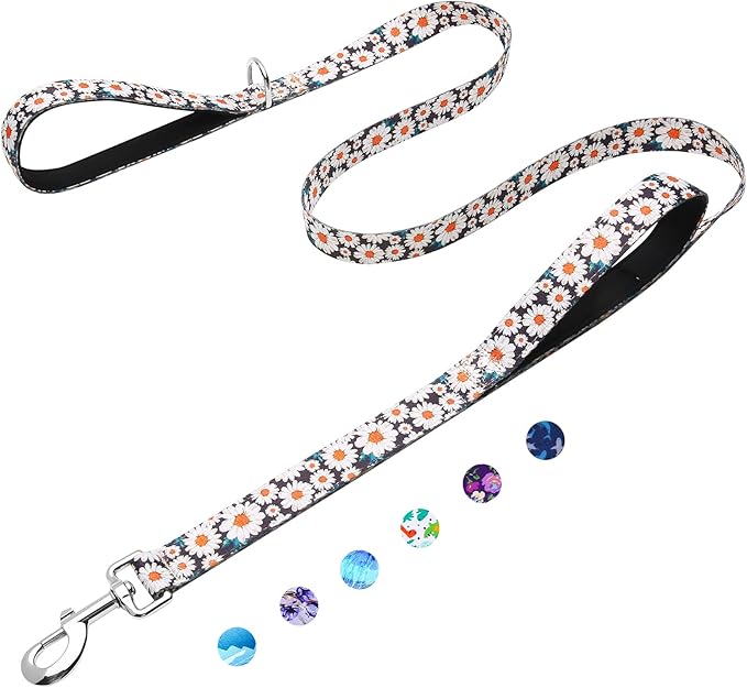 5ft Dog Leash with Two Padded Handles, Heavy Duty Strong Nylon Pet Leash with Soft Neoprene Handle for Small Medium Large Dogs, Daisy