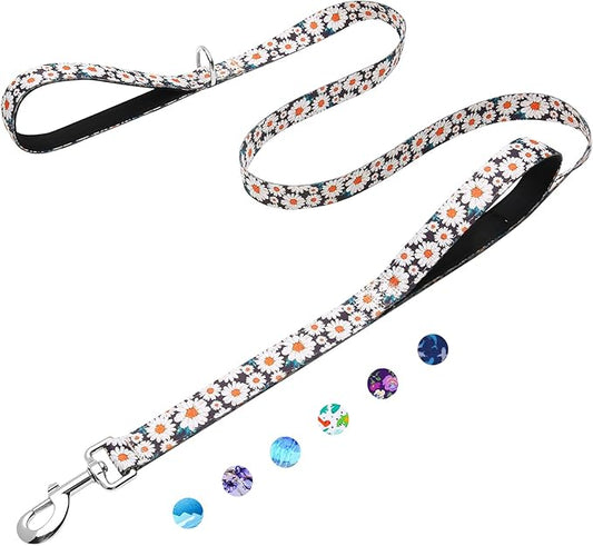 5ft Dog Leash with Two Padded Handles, Heavy Duty Strong Nylon Pet Leash with Soft Neoprene Handle for Small Medium Large Dogs, Daisy