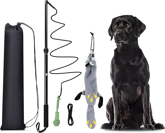 Flirt Pole Dogs, Dog Chase Toy with Squeakers Inside, Dog Fishing Pole Toy for Large Medium Small Dogs to Keep The Puppy Entertained and Physically Exhausted, Ball+Beaver