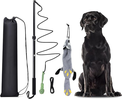 Flirt Pole Dogs, Dog Chase Toy with Squeakers Inside, Dog Fishing Pole Toy for Large Medium Small Dogs to Keep The Puppy Entertained and Physically Exhausted, Ball+Beaver