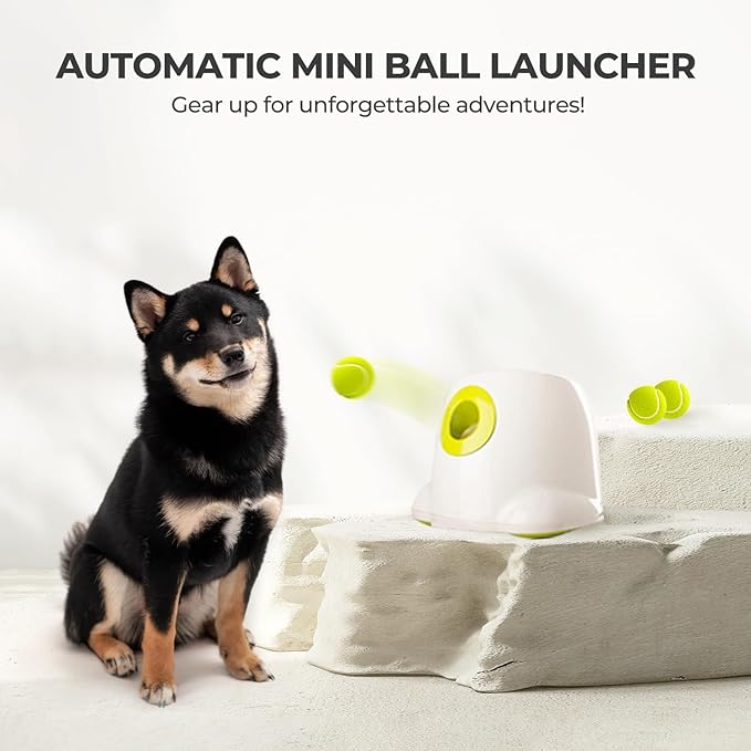 ALL FOR PAWS Automatic Ball Launcher for Dogs Interactive Puppy Pet Ball Indoor Thrower Fetch Machine, 3 Balls Included (2 inch) + Six Tennis Balls Bundle
