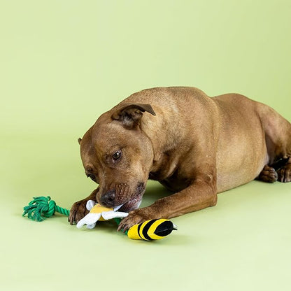 Fringe Studio I’M Pollen for You Plush Dog Toy, Pet Shop Collection (314432)