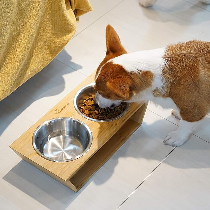 HB 2.5 Cups Stainless Steel Dog and Cat Bowls (2 Pack) Replacement Bowl - 6.2" Diameter, 2.2" Height for Raised Feeders