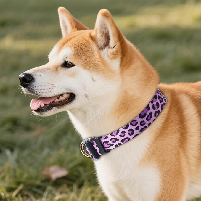 QQPETS Adjustable Soft Dog Collar: Print Flower Pink Multicolor Cute Patterns for XS Small Medium Large Pet Girl Boy Puppy Walking Running Training