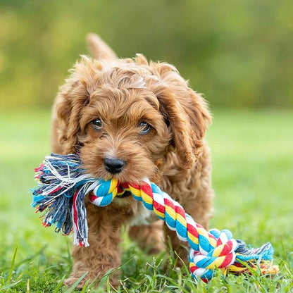 Jeffers Pet Rope Bone Dog Toy, Multi-Colored, 16" – Durable Braided Rope for Tug of War, Chewing & Fetch – Interactive Play for Pets – Machine Washable Dog Game Toy, Supports Healthy