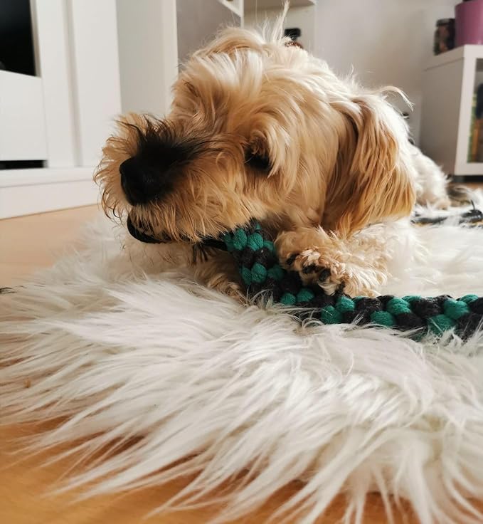 Upgraded Interactive Dog Toys - Extendable Flirt Pole Teaser Wand with Braided Rope Chewing Tugs and Squeaky Plush Chase Toy for Dog Puppy Outdoor Entertainment, Train and Exercise