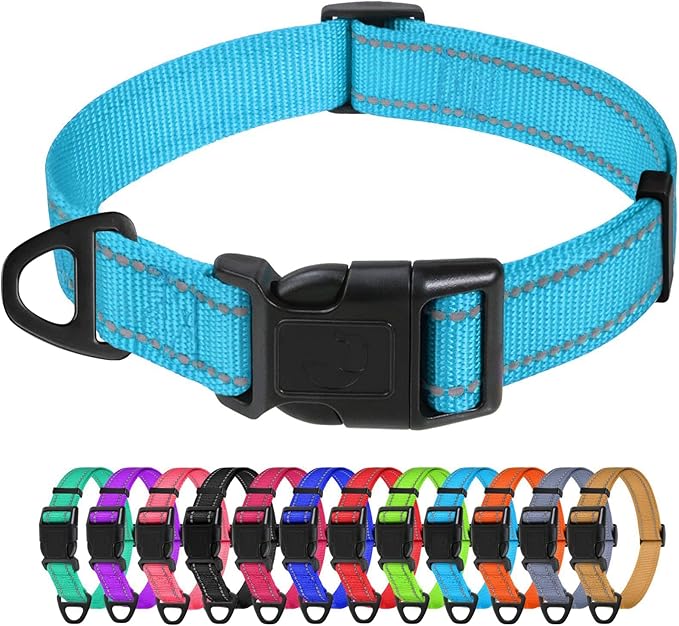 TagME Dog Collars, Adjustable Reflective Nylon Pet Collar with Quick Release Buckle for Medium Dogs, Sky Blue, 1.0" Width
