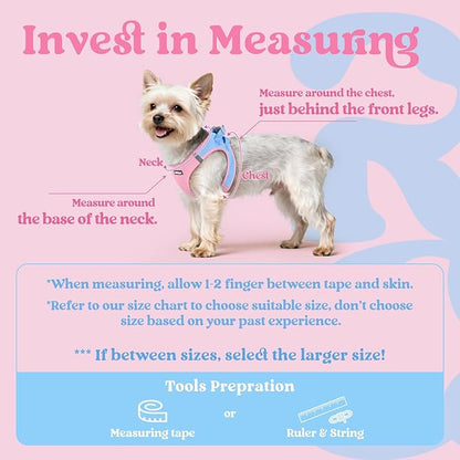 rabbitgoo Small Dog Harness, Step-in Soft Mesh Puppy Vest with Safety Buckle, Breathable Reflective Pet Harness for Large Dogs, Blue & Light Pink XXL