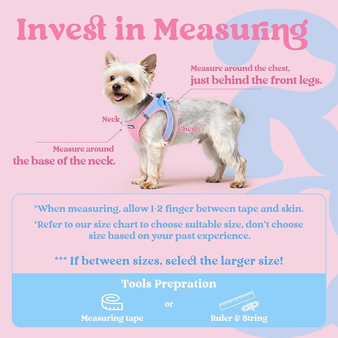 rabbitgoo Small Dog Harness, Step-in Soft Mesh Puppy Vest with Safety Buckle, Breathable Reflective Pet Harness for Extra Small Dogs, Blue & Light Pink XXS