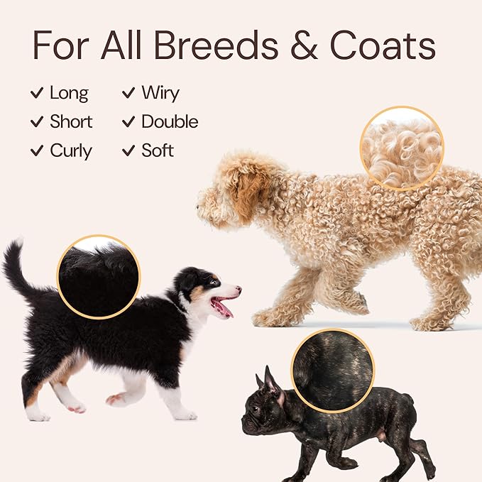 Sunny & Honey 4-in-1 Dog Shampoo & Conditioner - 16 fl oz, 8 fl oz Mist - Moisturizing Detangling Wash - Pet Shampoo - Long-Lasting Perfume Mist
