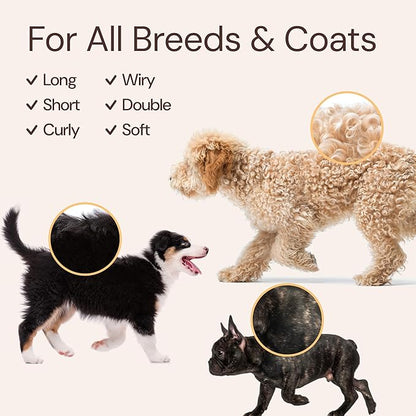 Sunny & Honey 4-in-1 Dog Shampoo & Conditioner - 16 fl oz, 8 fl oz Mist - Moisturizing Detangling Wash - Pet Shampoo - Long-Lasting Perfume Mist
