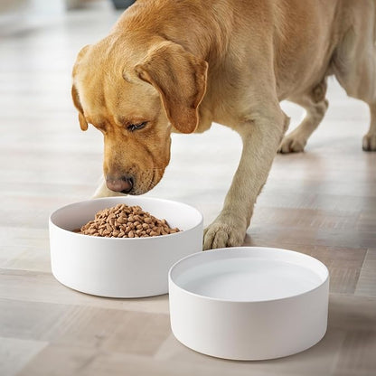 Ceramic Dog Bowls Replacement Set of 2, Compatible with Medium Elevated Stand, 60 oz Heavyweight Food-Grade Feeding Bowls for Small & Medium Dogs, Microwave & Dishwasher Safe (White, 7.6 Cups)