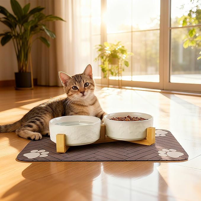 Dog Bowls Set with Wood Stand & Mat Waterproof, 1.5 Cups Ceramic Dog Bowls Elevated for Small Dogs, Dual Food and Water Bowls with Weighted Non-Slip Base 13.5 OZ