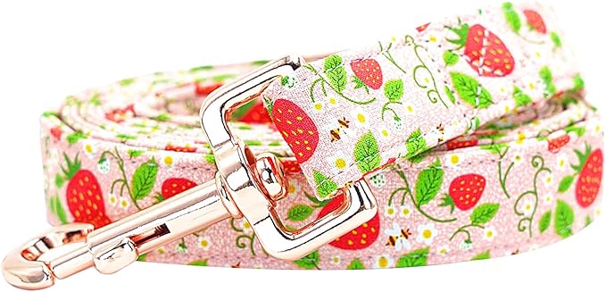 Dog Leash - Pink Strawberry Print, Durable Heavy Duty, Comfortable Padded for Small to Large Dogs