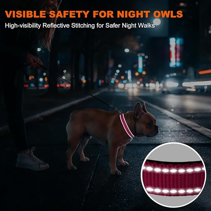Taglory Reflective Dog Collar with Safety Locking Buckle, Soft Neoprene Padded Dog Collar for Medium Dogs, Metal D-Ring, Adjustable Nylon Neck Strap for Daily Walking, Training & Running, Hot Pink, M