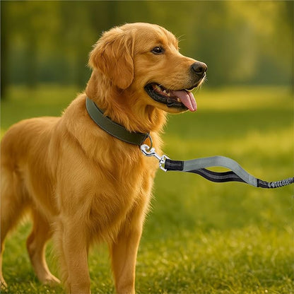 Hands-Free Dog Leash for Dogs up to 130 lbs – Heavy-Duty, Shock-Absorbing Bungee Leash with Zipper Pouch, Dual Padded Handles & Adjustable Waist Belt for Running & Walking – Cool Gray