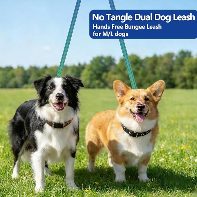 Roses&Poetry Hands Free Double Dog Leash for Two Dogs, 9-11ft Adjustable Bungee Walking Waist Lead, Dual Dog Leash with Tangle-Free Swivel for Medium Large Dogs Heavy Duty Running(Bluegreen)