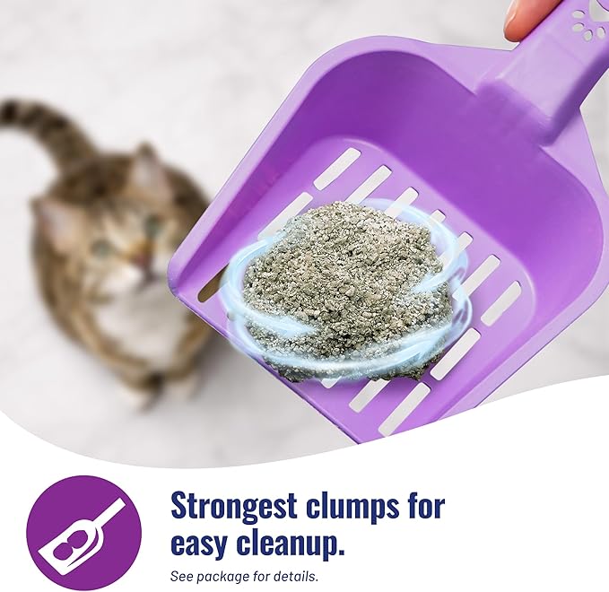Cat's Pride Max Power: Total Odor Control - Up to 10 Days of Powerful Odor Control - Strong Clumping - 99% Dust Free - Multi-Cat Litter, Scented, 15 Pounds