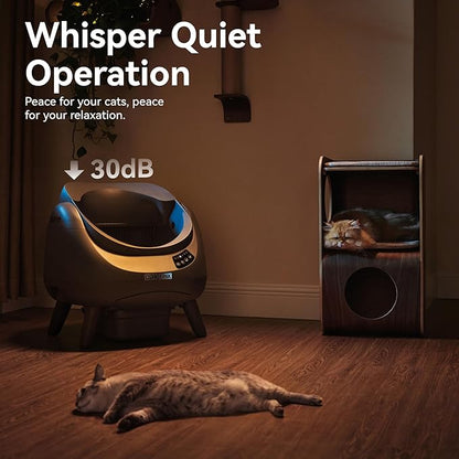 CATLINK Self Cleaning Cat Litter Box Open-X, 5G & 2.4G WiFi, Safe Anti-Pinch Automatic Litter Box Open Top, AI Waste Analysis Health Monitor, App, Odor Free - Grey/Large (Single-Cat Household)