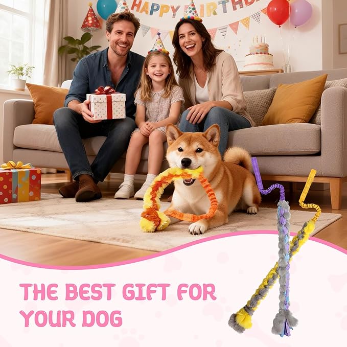 Dog Tug Toys, Bungee Tug of War Dog Rope Toys, Soft Chew Toy for Medium and Small Dogs, Interactive Rope Toys for Puppy Teeth Cleaning