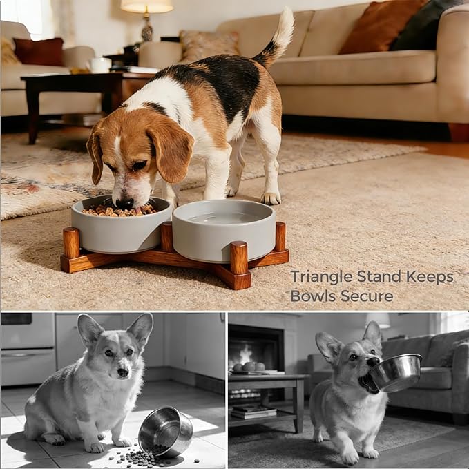 Ceramic Dog Bowl and Cat Bowls Set with 15° Adjustable Wood Stand, Non-Slip Weighted Pet Food and Water Bowls, Dual Raised Feeder for Small Dogs, Matte Glaze Pet Dish 13.5oz Set of 2 (Gray & Chestnut)