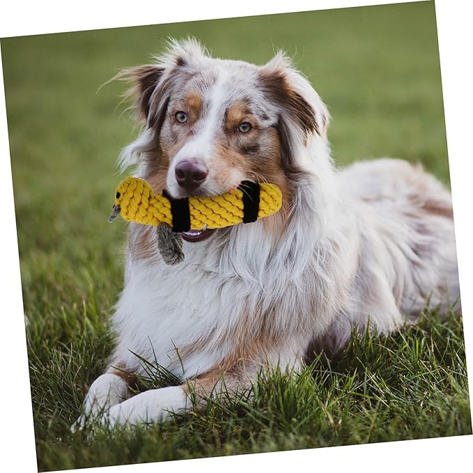 1pc Bee Pet Toy Dogman Toys Bee Toy Small Dog Chew Toys Dog Rope Toys Sound Dog Toys Puppy Toys Dog Teasing Toys Dog Training Toys Teasing Toys for Dogs Cotton Rope Yellow Knot