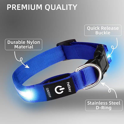 PetIsay Light Up Collar - High Visibility & Durable Nylon Material - USB C Rechargeable & Waterproof LED Dog Collar for Night Walking, Glow in The Dark Flashing (Blue, Medium)