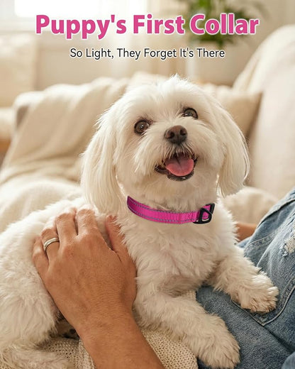 Joytale Small Dog Collar, Durable Double-Sided Reflective Nylon Collar for Night Safety, Adjustable Quick-Release for Active Breeds, Hotpink, S (3/4" Width)