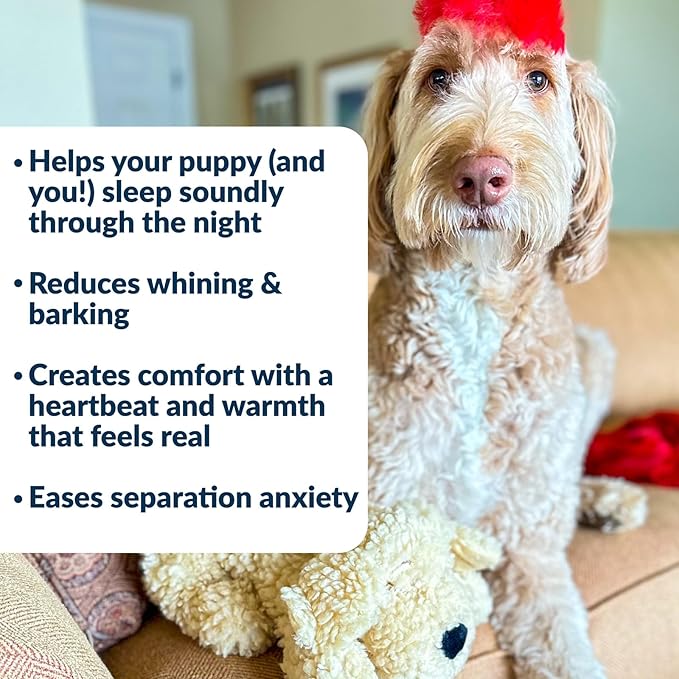 Snuggle Puppy Heartbeat Dog Toy for Puppies, Real-Feel Heartbeat, Calming Sleep Aid and Crate Training Comfort Toy with Heat Pack, Medium Breed Buddies Doodle Appearance (Goldendoodle, Poodle Mix)