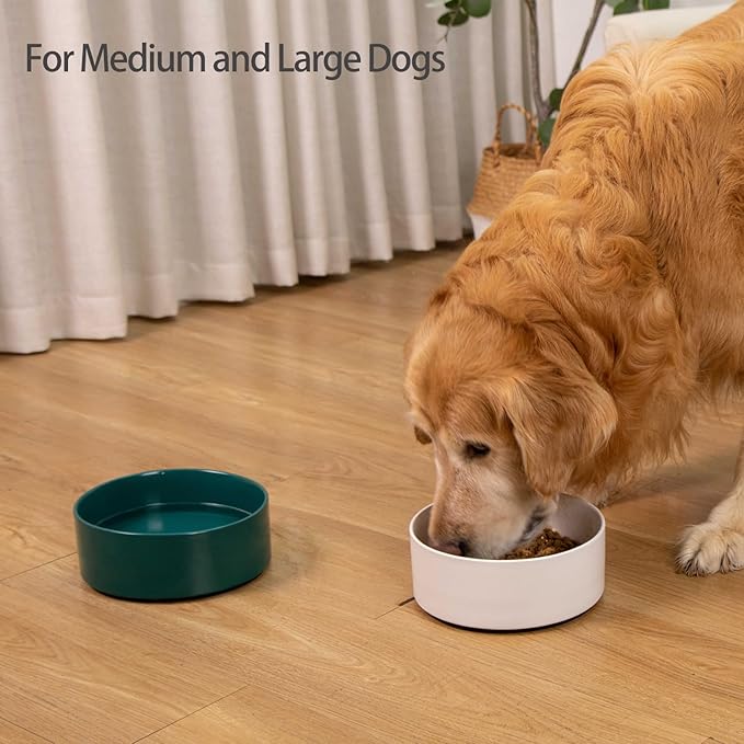 Large Dog Bowls, Non Slip Heavy Ceramic Dog Food and Water Bowl with Silicone Base, 8" Pet Feeding Bowl for Small, Medium, and Big Dogs (Green, 8 Inches)