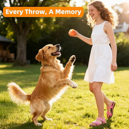 2.5" Dog Tennis Balls 6-Pack Silent Bounce, Tough Rubber Core, Durable Fetch & Training Toys for Indoor/Outdoor Play, for Small Medium Large Dogs (Orange, 6 Pack)