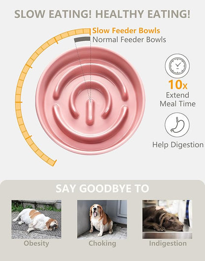 Ceramic Slow Feeder Bowls for Large Dogs, 3.0 Cups Slow Feeder for Fast Eaters, 48oz, 10in, Pink