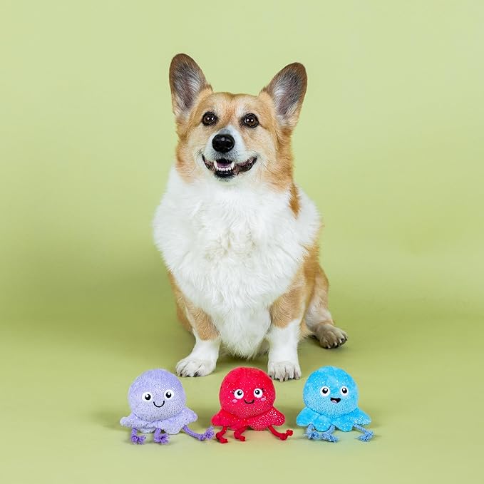 Fringe Studio Too TENTA-Cool Small Plush Dog Toy 3PCS Set, PetShop Collection (662127)