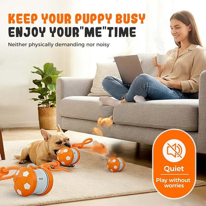 Interactive Dog Toys, Moving Interactive Dog Ball with Touch Activated, Automatic Rolling Ball Toys for Puppy/Medium Dogs, Squeaky Dogs Toy Active Rolling Wicked Balls for Daily Training (RED-3)
