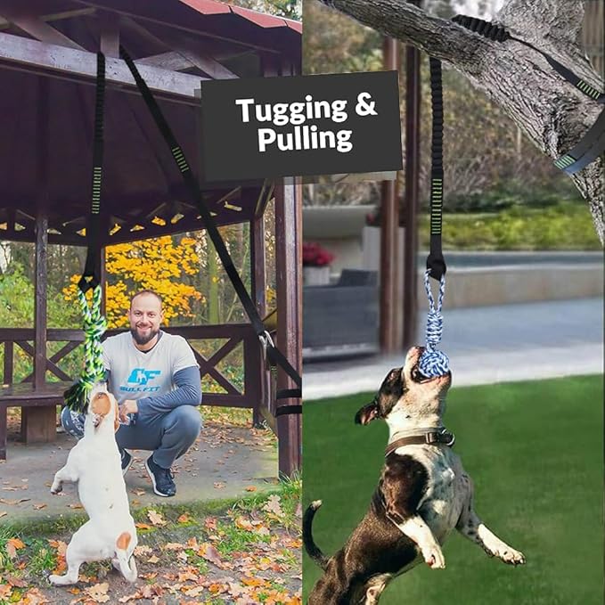 Dog Bungee Hanging Toy, Tree Tugger Rope Pulling Tug of War Toy for Aggressive Chewers Middle Large Dogs to Exercise Solo Play, Interactive Tether Tug Outdoor Dog Toy, 2 Chew Rope Toys