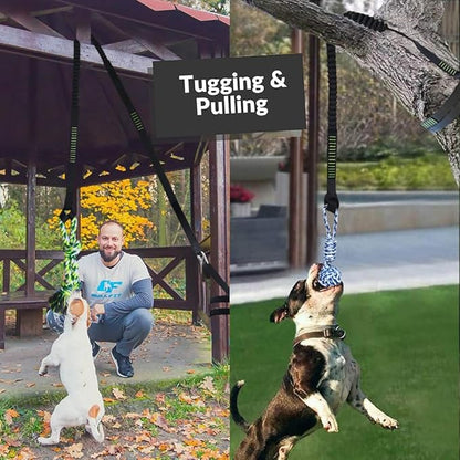 Dog Bungee Hanging Toy, Tree Tugger Rope Pulling Tug of War Toy for Aggressive Chewers Middle Large Dogs to Exercise Solo Play, Interactive Tether Tug Outdoor Dog Toy, 2 Chew Rope Toys