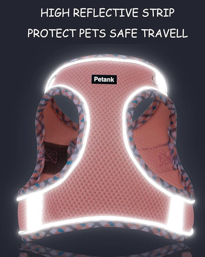 Petank Dog Harness for Small Medium Dogs No Pull, Puppy Harness and Leash Set, Step in Dog Harness for Walking, Running, Training, Small Dog Vest, Medium Dog Vest (Light Blue, M)