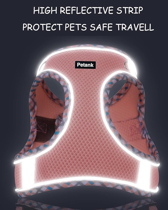 Petank Dog Harness for Small Medium Dogs No Pull, Puppy Harness and Leash Set, Step in Dog Harness for Walking, Running, Training, Small Dog Vest, Medium Dog Vest (Bule, M)