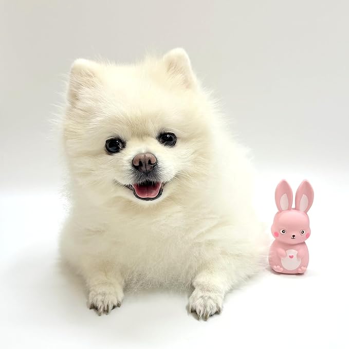 Rubber Squeaky Dog Toys, Latex Dog Squeaky Toys, Easter Bunny Dog Toy, Love Struck Bunny, Small (Pink)