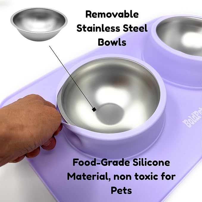 BoldPet® Dog Food and Water Bowl Set - Food Grade,Non-Slip Design Silicone Mat - Includes 2 Removable Stainless Steel Dog Bowls for Small Dogs - Perfect Puppy Bowls Set - Pet Bowls for Dogs and Cats