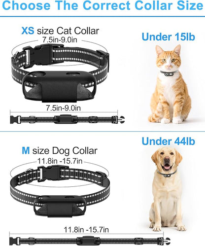 Dog & Cat Camera Collar with Phone APP, 1080P HD Video Recording, XS/M-Size Pet POV Cam for Dogs & Big Cats, Cordless Pet Collar Cameras with APP Viewing