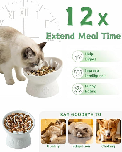 TRUVIC Ceramic Slow Feeder Cat Bowl, 15° Tilted Elevated Cat Slow Eating Bowl for Neck Protection, Anti Vomiting Dog Slow Feeder, Whisker Friendly & No Black Chin for Cats and Small Dogs, White
