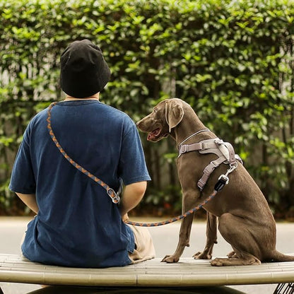 Pawstrip Hands-Free Dog Leash - Multifunctional Reflective Waist and Crossbody Training Leash for Walking and Running - Adjustable Nylon Double Leashes for Small, Medium, Large Dogs
