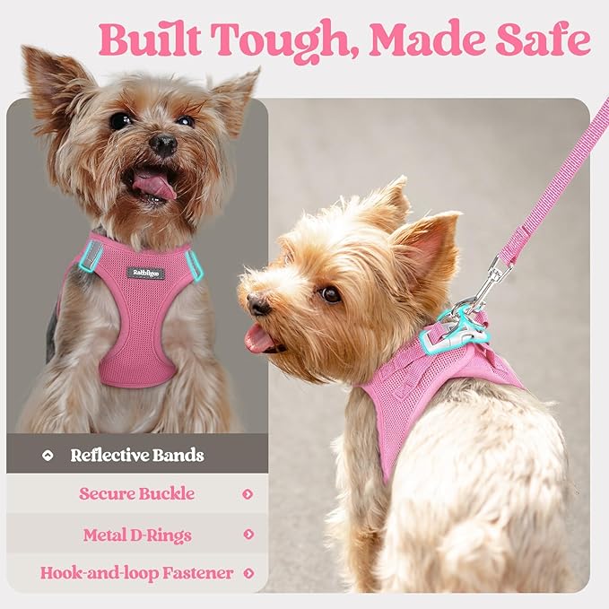 rabbitgoo Dog Harness Small Medium Sized and Leash Set, Step in Soft Light Puppy Vest, Breathable Mesh Pet Harness, Reflective for Safe Easy Walking, Light Pink L