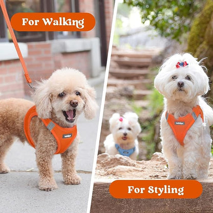 rabbitgoo Small Dog Harness, Step-in Soft Mesh Puppy Vest with Safety Buckle, Breathable Reflective Pet Harness for Small Medium Dogs, Orange XL