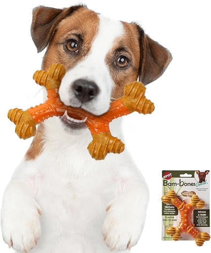 SPOT Bam-Bones Dental X-Bone - Made with Bamboo Fiber and a Massaging Rubber Center, Durable Oral Care Dog Chew for Light Chewers & Teething Puppies under 40lbs, 8in Allergen Free Peanut Butter Flavor