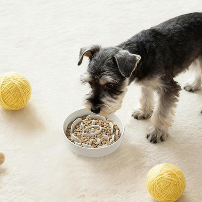 Ceramic Slow Feeder Dog Bowl - Feeding Dish for Fast Eaters - Maze Dog Bowl to Slow Down Eating - Ideal Food Control Dish for Small Breeds - 0.8 Cups (80g) - 6.3 Inch - White