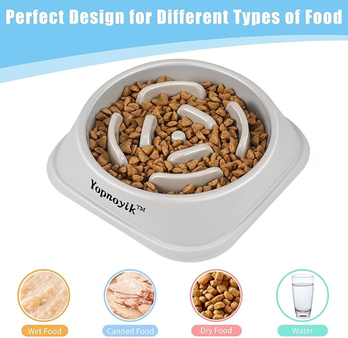 Slow Feeder Dog Bowls for Healthy Eating, Non-Slip and Anti-Choking Design, Reduces Bloating & Overeating for Medium Dogs and Cats, Easy to Clean