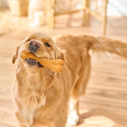 SPOT Bam-Bones Plus Dino Bone - Bamboo Fiber & Nylon, Durable Long Lasting Dog Chew for Aggressive Chewers – Great Toy for Dogs Under 90lbs, Non-Splintering, 7.25in Peanut Butter Flavor Allergen Free