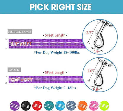 BAAPET 5 Feet Nylon Dog Leash with Triple Reflective Threads and Comfortable Padded Handle for Walking, Training Lead Small Puppy, Medium and Large Dogs (1.0'' x 5 FT, Purple)